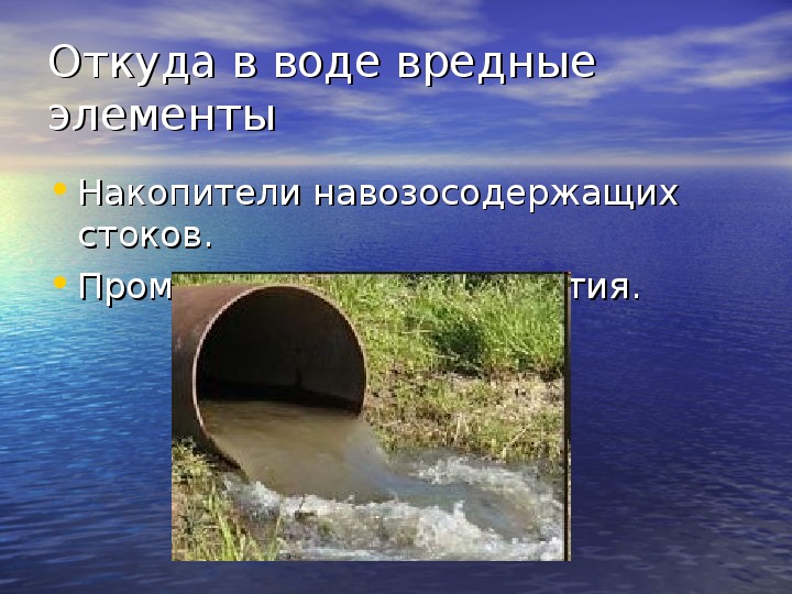 Проект водоемы нашего края