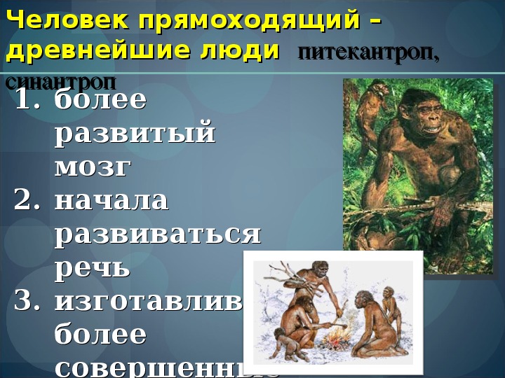 Человек умелый временные рамки. Этапы эволюции человека человек умелый. Человек прямоходящий ЕГЭ биология. Факторы эволюции человека умелого.