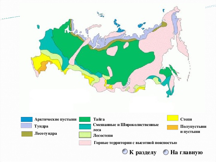 Арктическая пустыня на карте природных зон