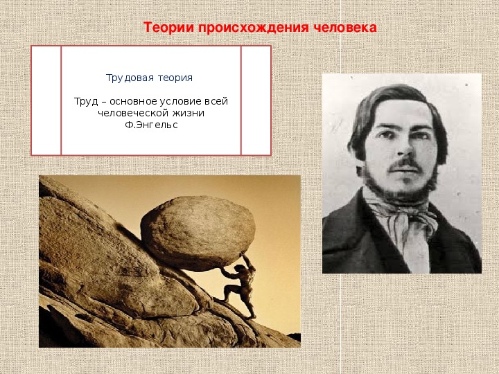 Трудовая теория ф энгельса