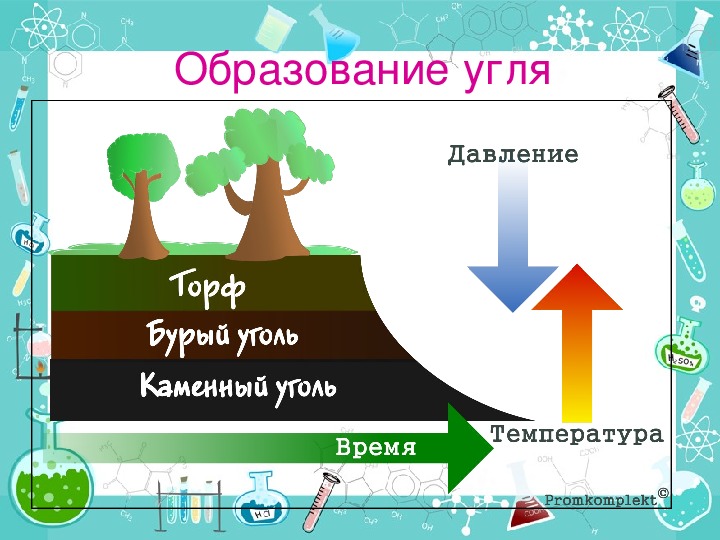 Образование каменного угля 5 класс биология план сообщения