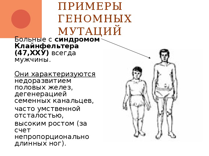 Генетика человека 10 класс биология презентация