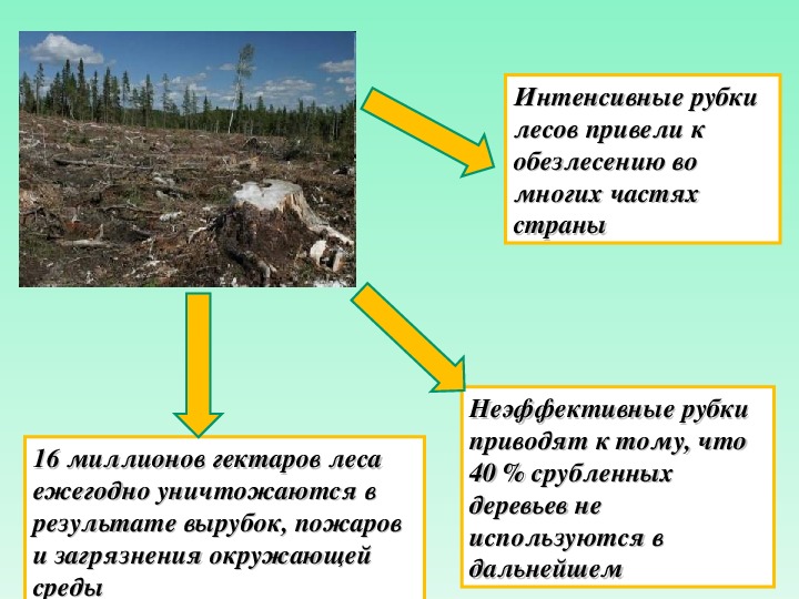 Экологическая ситуация в россии 8 класс презентация