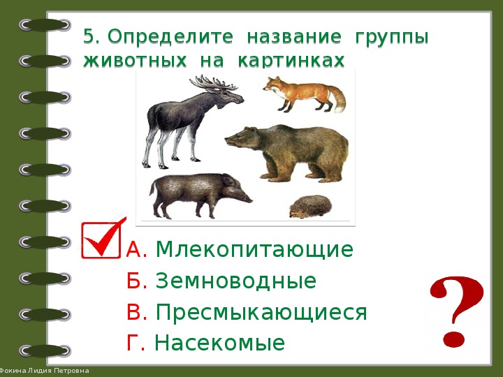 Какие бывают животные 2 класс окружающий мир