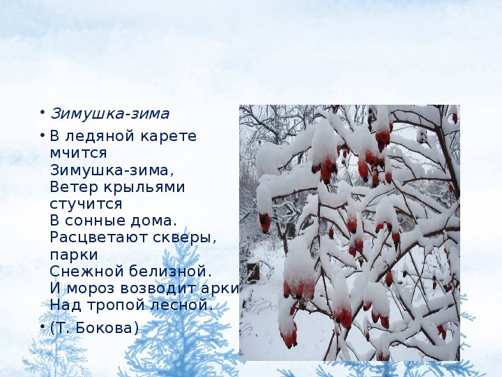 Песня зимушка. Зимушка зима в ледяной карете мчится Зимушка зима. В ледяной карете мчится Зимушка-зима ветер крыльями стучится в сонные. Стихотворение Зимушка зима.