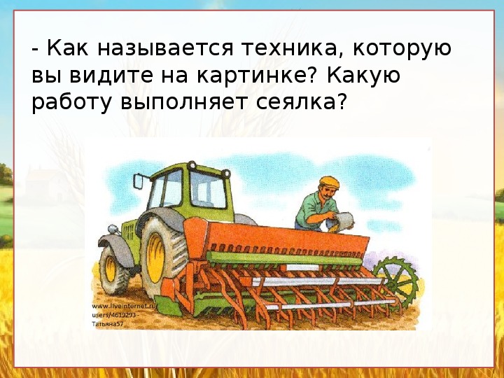 Откуда берется хлеб картинки