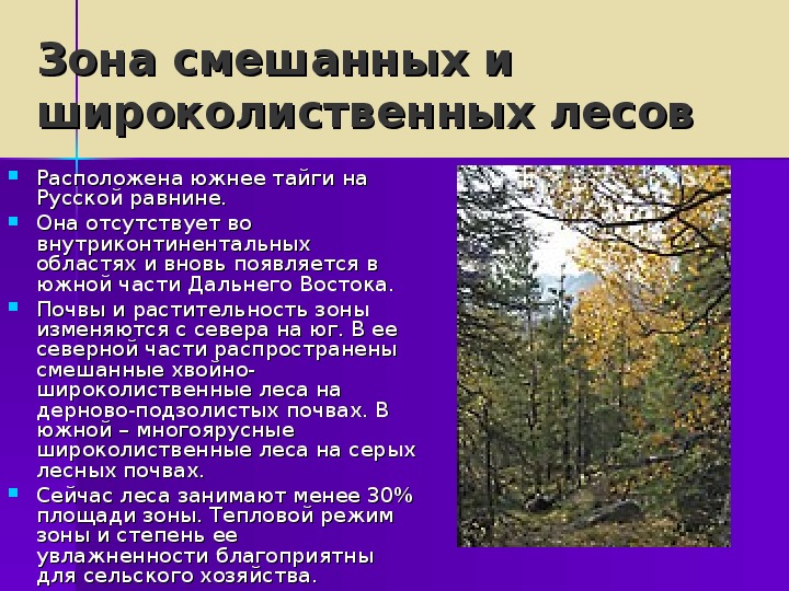 Характеристика лесной