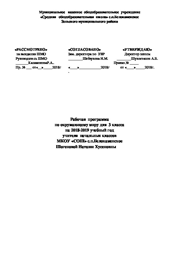 Рабочая программа по   окружающему миру  в 3 классе.