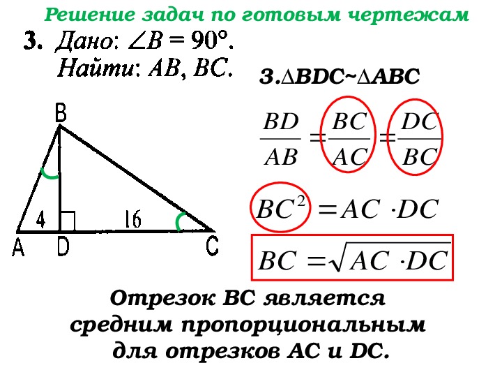 Пропорциональные отрезки 8