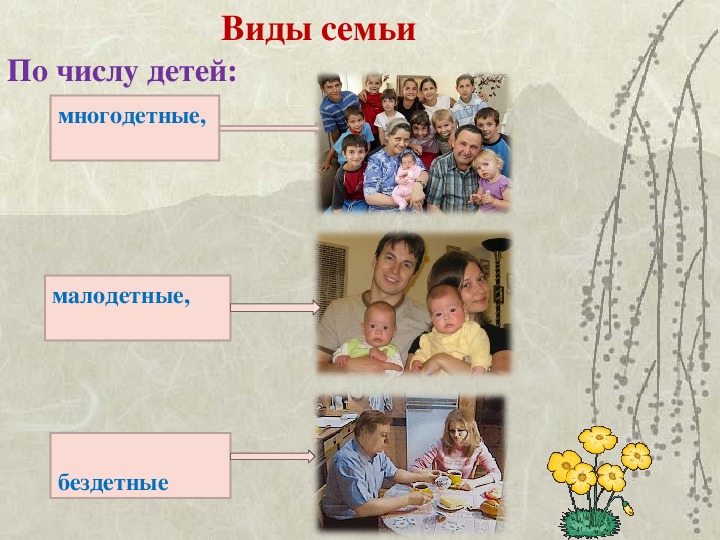 Презентация моя семья 6 класс по обществознанию