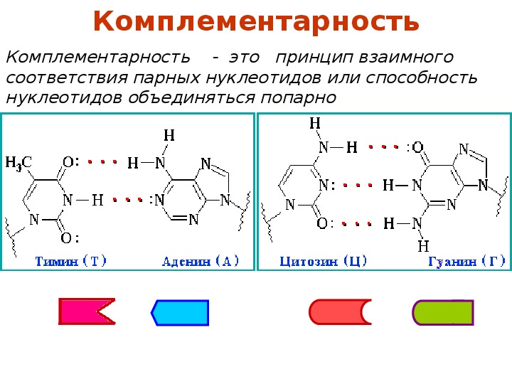 Рнк гуанин цитозин. Аденин гуанин цитозин Тимин урацил комплементарность. Аденин гуанин цитозин Тимин комплементарность. Формула комплементарности ДНК. РНК комплементарность принцип комплементарности.