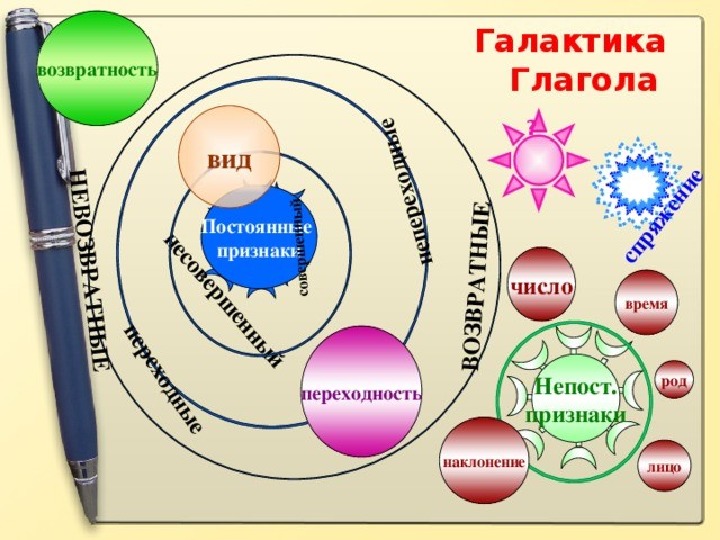 Морфологические признаки рисовать