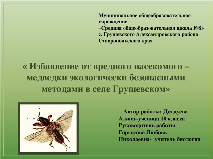 Избавление от вредного насекомого – медведки экологически безопасными методами.