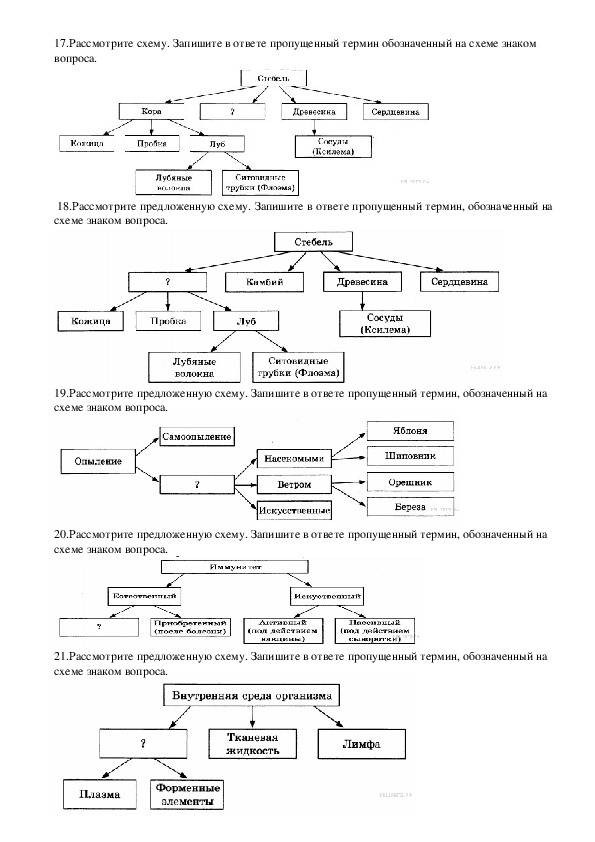 Вставь пропущенные термины на схеме регуляция слюноотделения