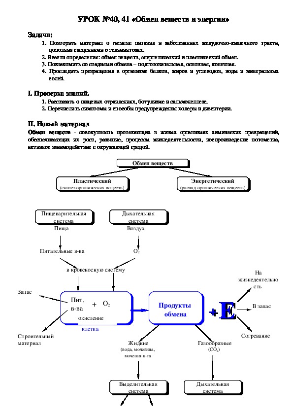 Обмен веществ примеры. Общая схема обмена веществ и энергии. Обмен веществ схема 9 класс. Схема метаболизма 8 класс биология. Схема обмена веществ и энергии 5 класс биология ответы.