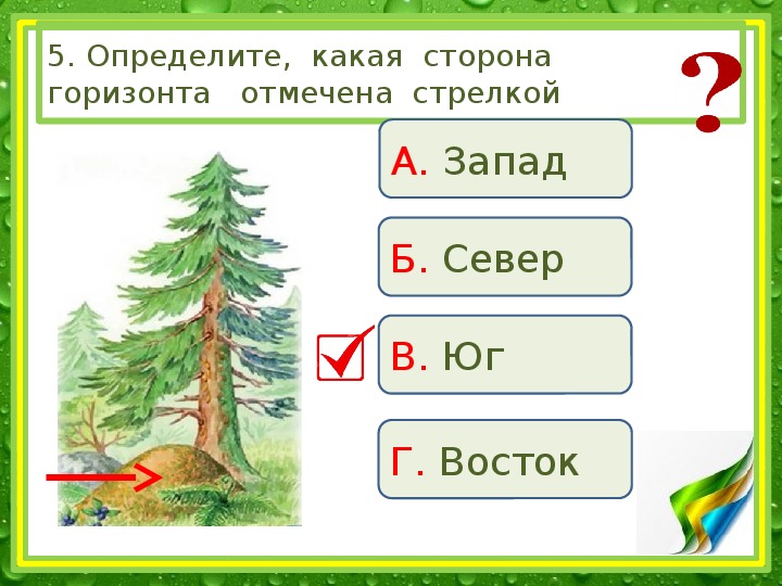 Ребята получили задание назвать пропущенные на схеме стороны горизонта