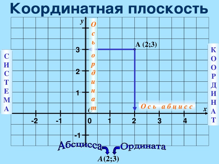 Координата 6. Математика координатная плоскость. Координат кная плоскость. Координатная пло кость.