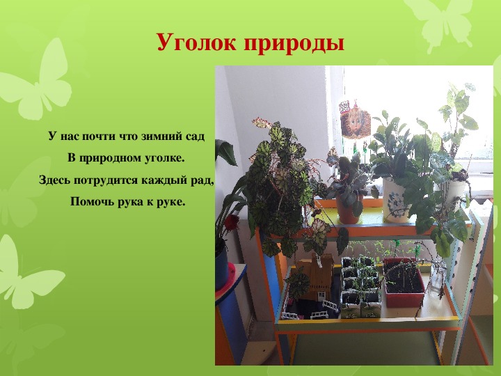 Презентация цветы 2 младшая группа