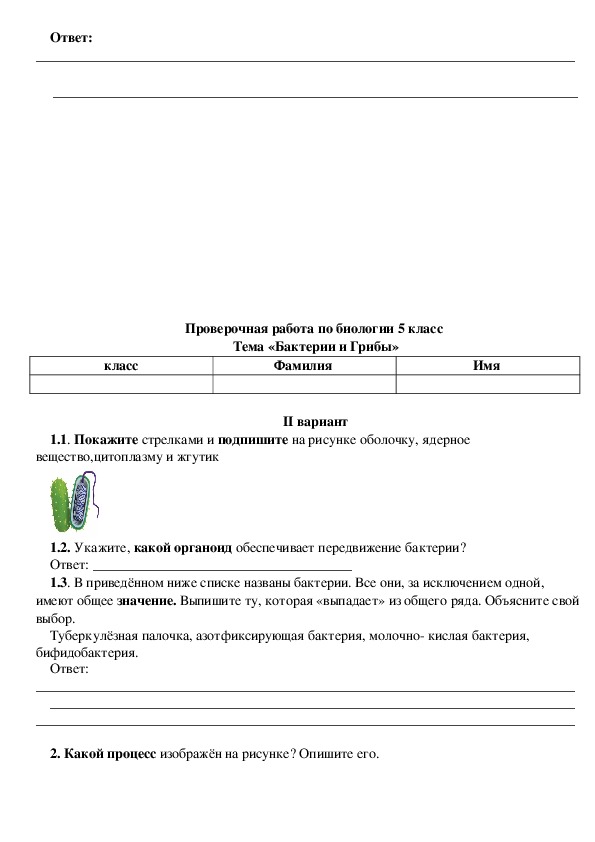 Ответы проверочная работа по биологии