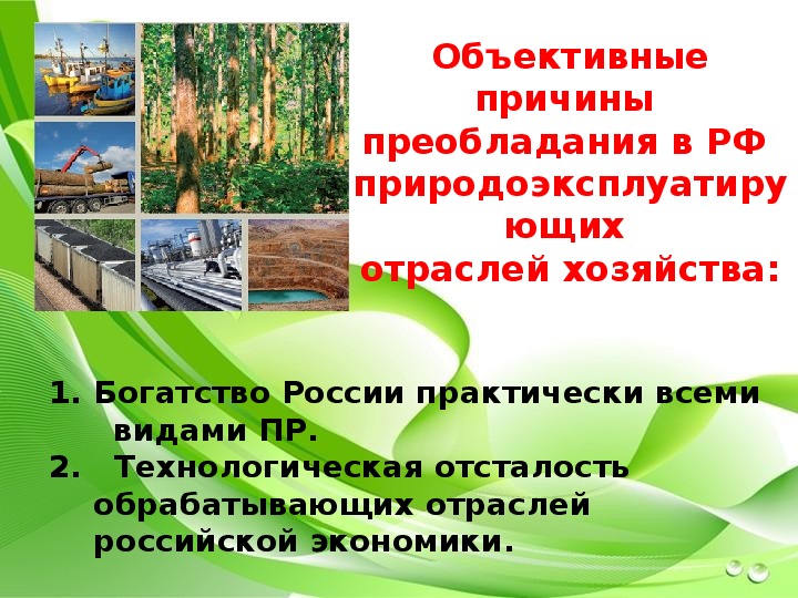 Состав первичного сектора экономики природные ресурсы презентация 8 класс