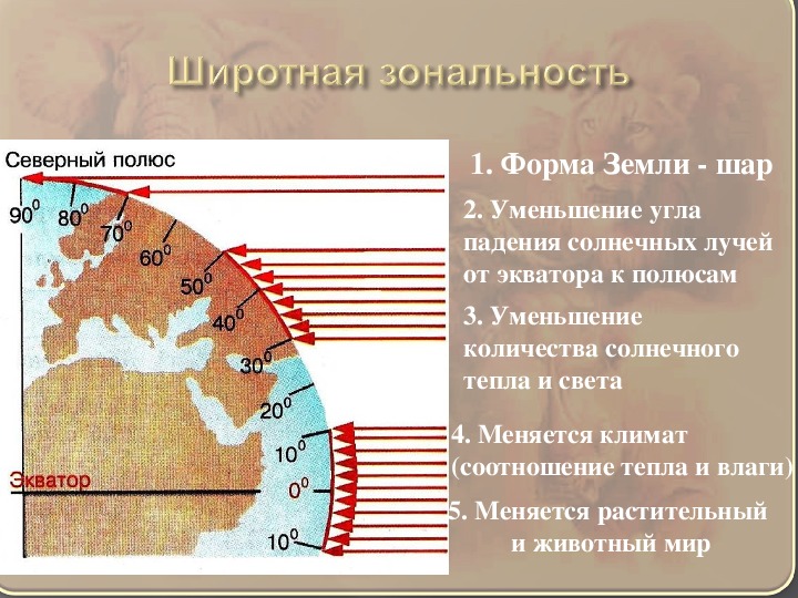 Почвы от экватора к северному полюсу. Температура от экватора к полюсам. Соотношение тепла и влаги. Схема природных зон от экватора. Природные зоны Северного полюса.