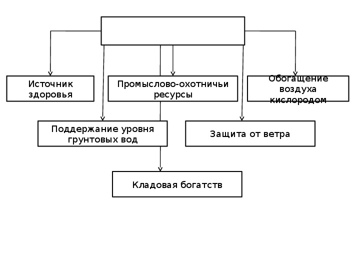 Значение леса в жизни северян схема