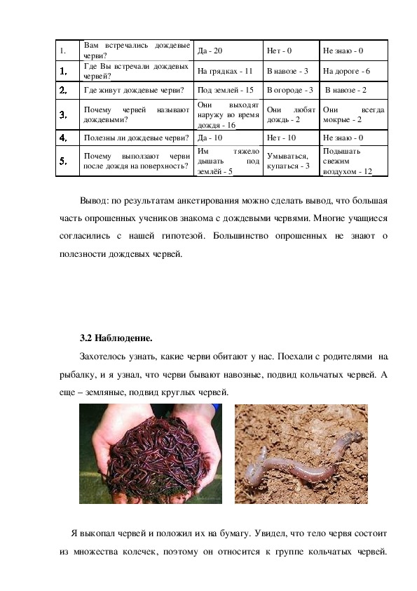 Анализ червя