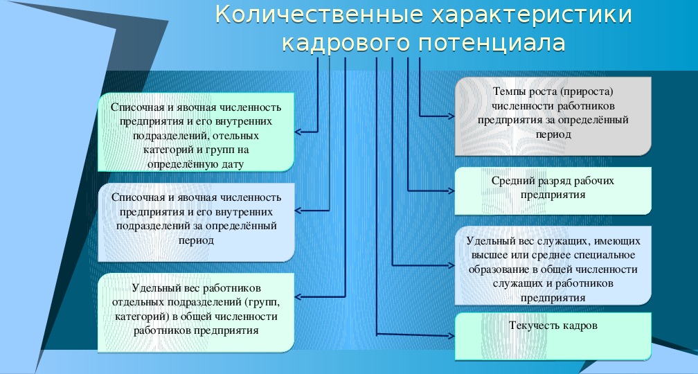 Анализ кадрового потенциала презентация