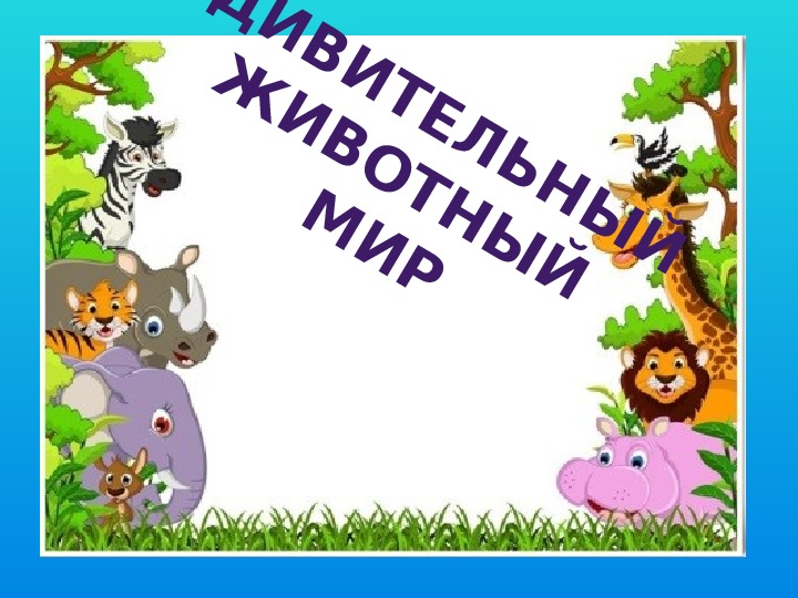 Презентация: "Удивительные животные планеты" (3-4 класс, дополнительное образование)