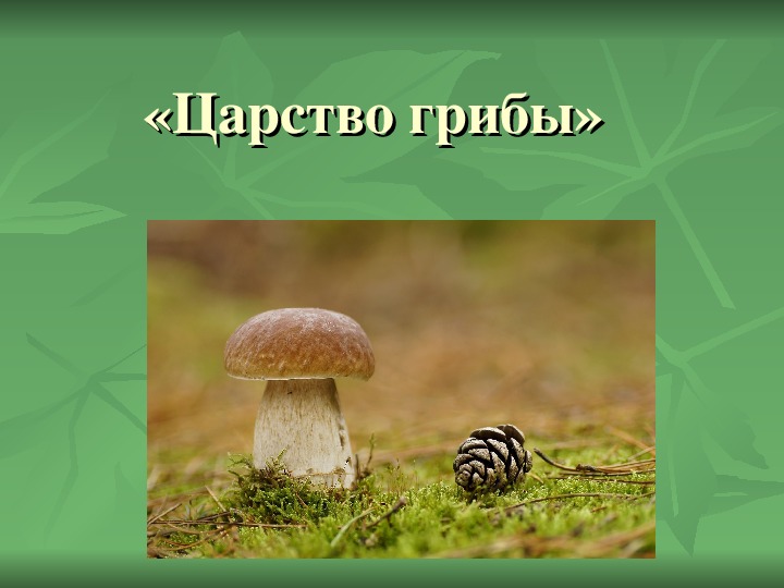 Класс биология грибы. Проект на тему царство грибов. Презентация на тему царство грибы. Слайд по биологии грибы. Презентация по биологии грибы.