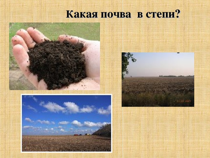 Какие почвы в степях россии. Почвы степи. Степная почва. Зона степей почва. Почвы Степной зоны.