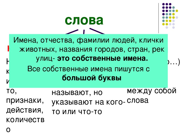 Клички животных 1 класс. Имена собственные клички животных. Текст с именами собственными. Имена людей клички животных названия городов. Слова имена собственные 1 класс.