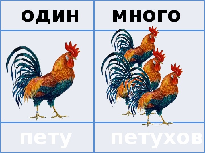 Картинки один и много