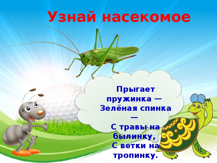 Урок насекомые