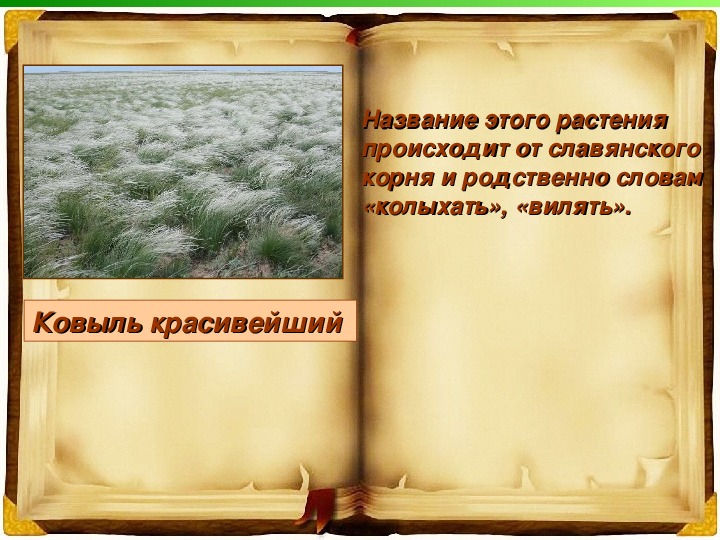 Презентация по  географии на тему "Книга природы Волгоградской области"
