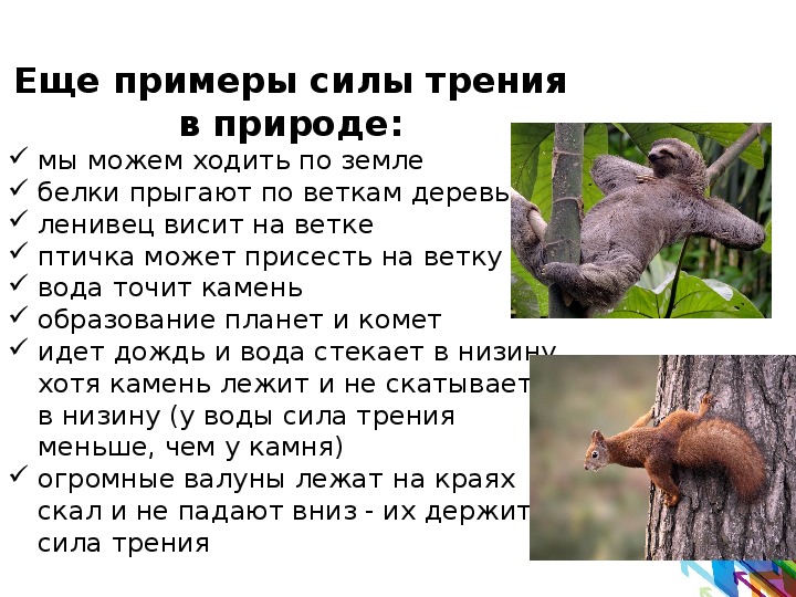 Силы в природе 7 класс