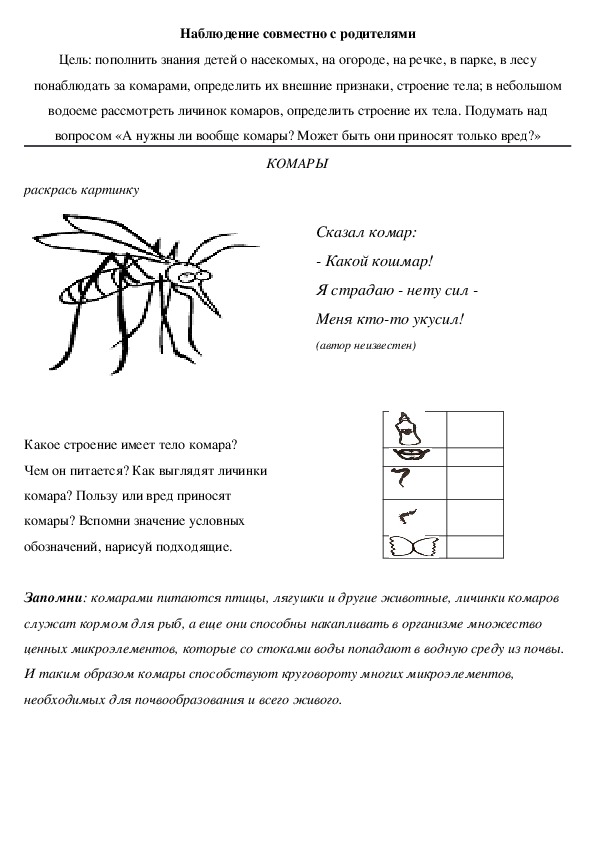 План наблюдения за насекомыми