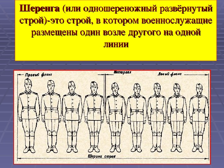 В строю значение. Одношереножный Строй и его элементы. Шеренга. Двухшереножный Строй. Развернутый одношереножный Строй.