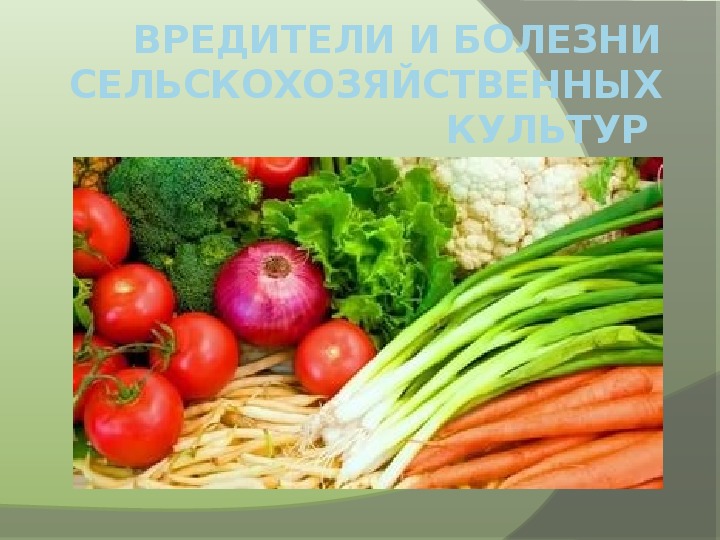 Презентация болезни сельскохозяйственных культур