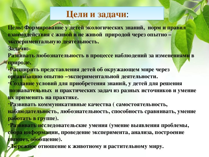 Паспорт экологического проекта для детей старшего дошкольного возраста