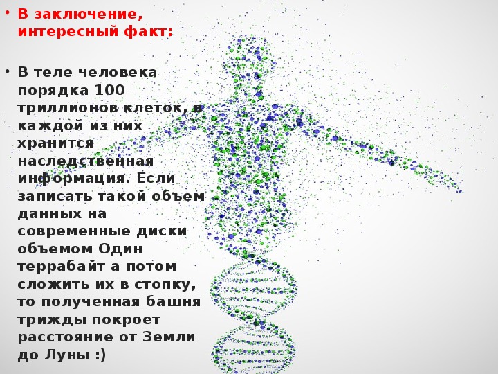 Организм состоящий из множества клеток