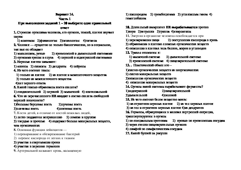 Диагностическая работа по биологии за курс 8 класса в форме и по материалам ОГЭ. Вариант 14.