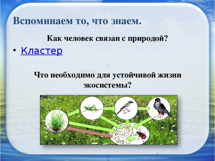 Культуру часто определяют как вторую природу план текста