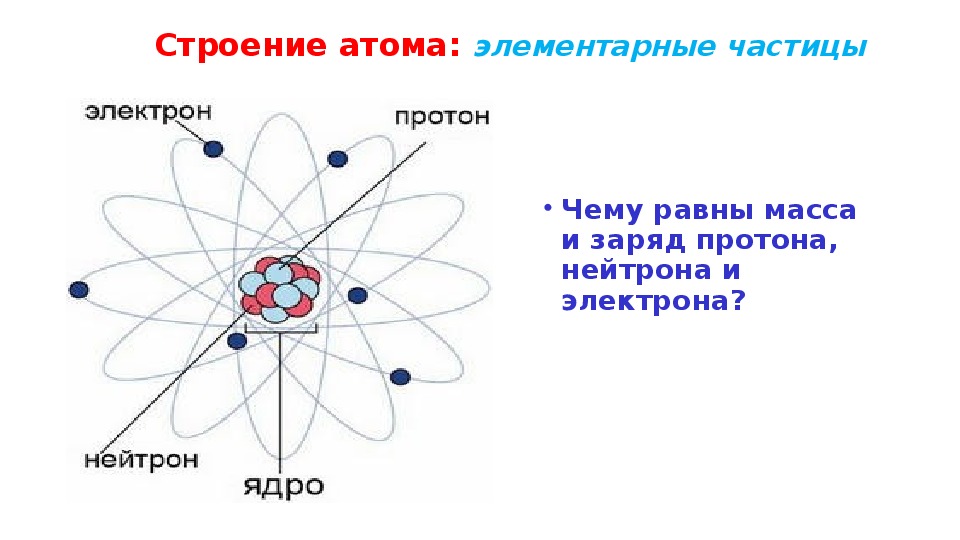 Какие элементарные частицы находятся в ядре