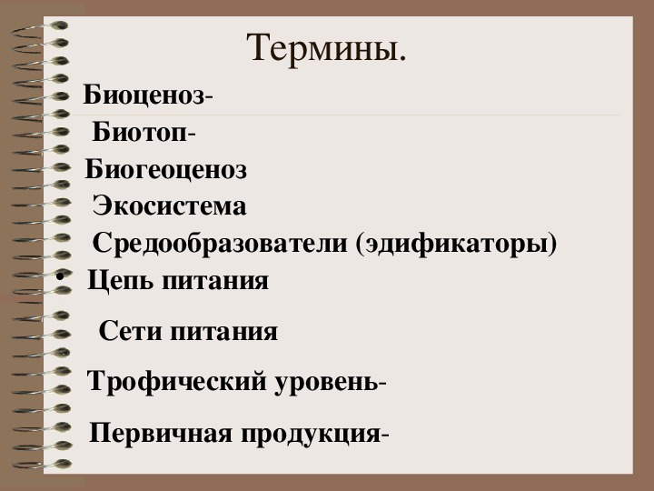 Презентации и видео для профильных классов