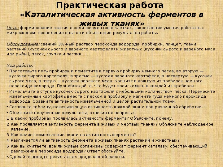 Работа активность. Лабораторная работа изучение каталитической активности ферментов. Активность фермента каталазы в животных и растительных тканях.