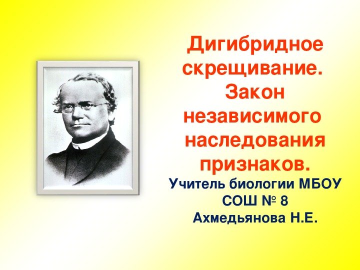 Презентация дигибридное скрещивание закон независимого наследования признаков