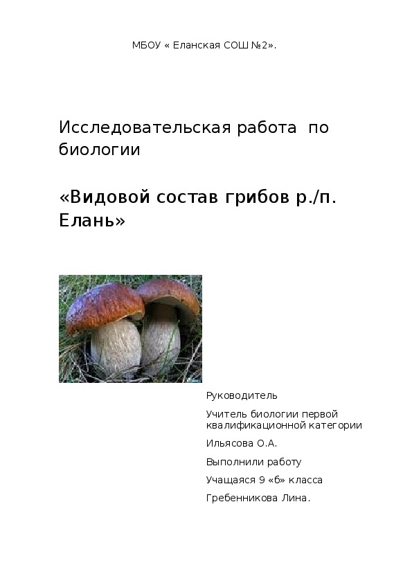 Видовой состав грибов п Елань