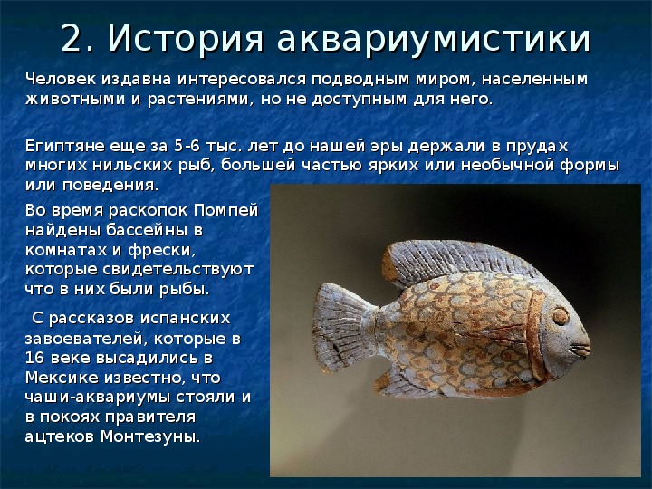 Доклад: Боитесь неприятностей - заводите аквариум