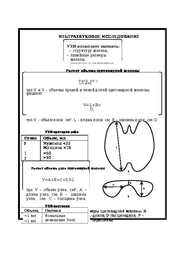 Протокол узи щитовидной железы образец